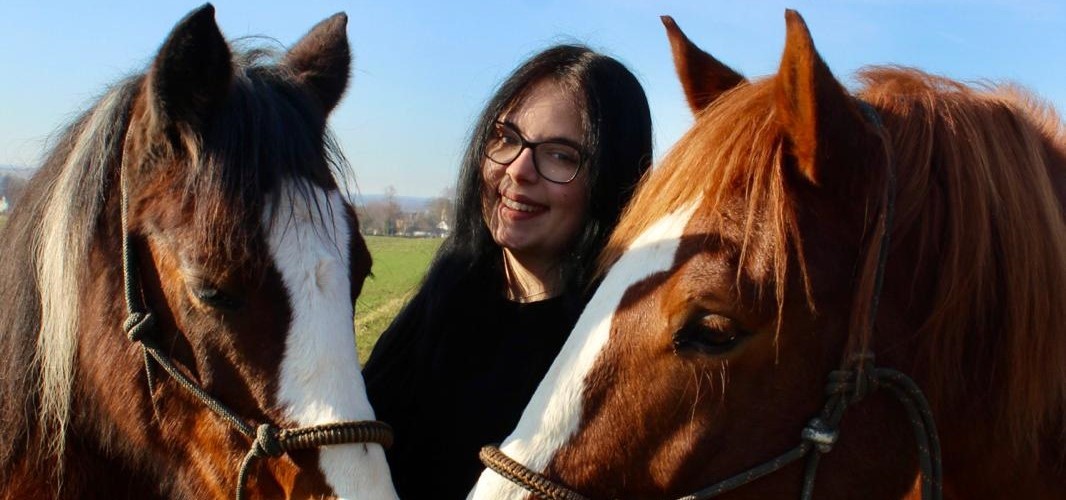 Pferd in der Freiarbeit